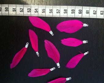 Set of 4 feathers fuchsia 4 x 1.5 cm approx