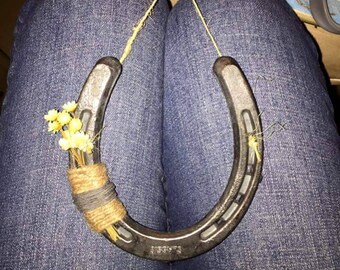 Horse shoe with a twist