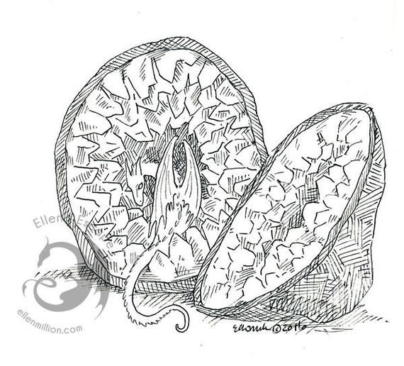 Items similar to Geode Dragon with Crystals Digi Stamp Digital Coloring ...