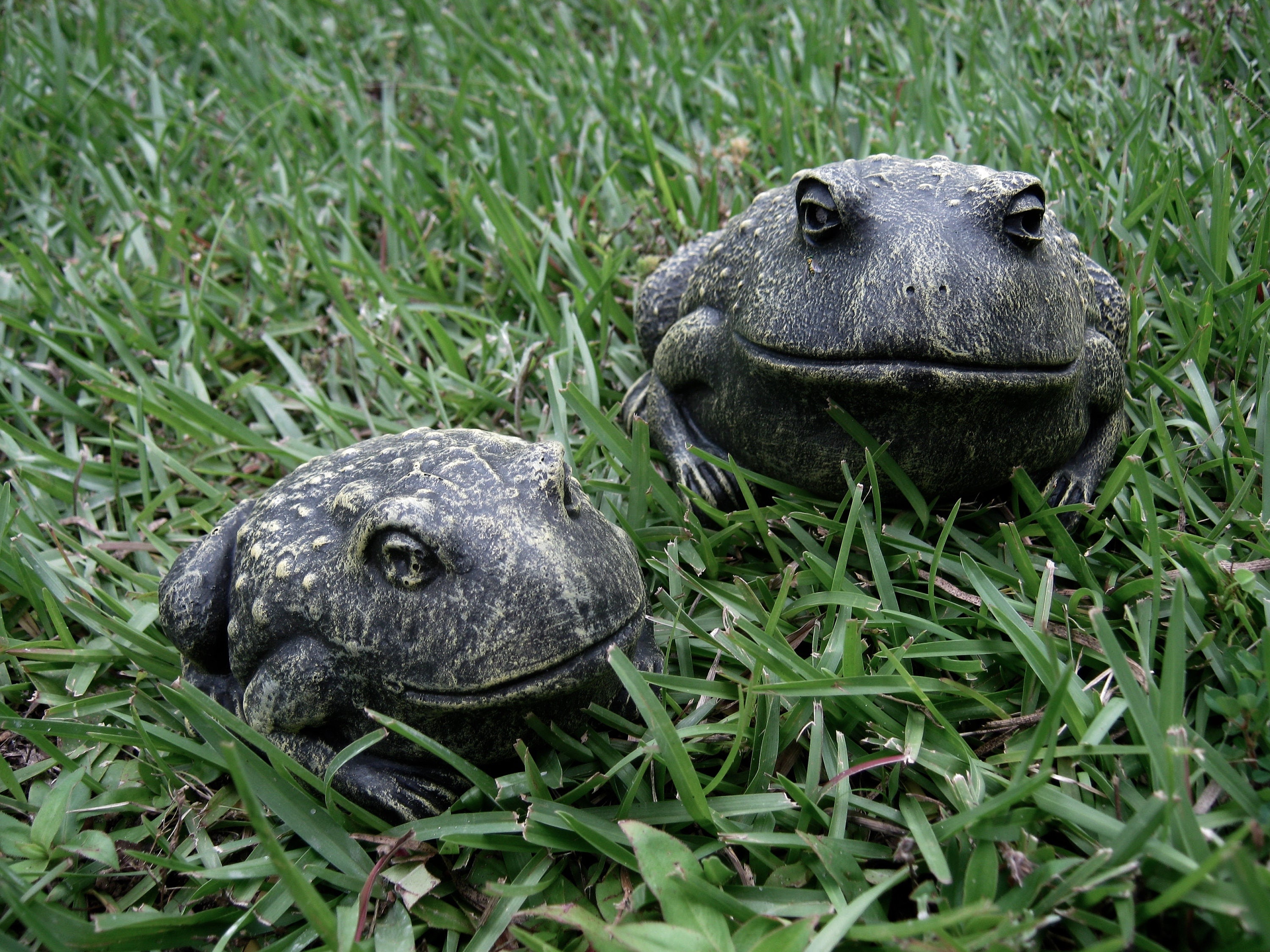 frog and toad garden statue