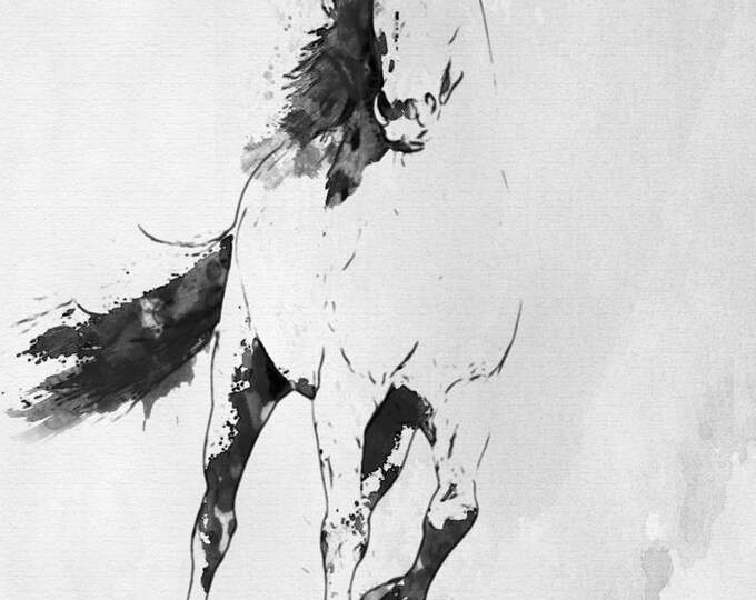 Wild Running Horse 2. Extra Large Horse Wall Decor, Black Contemporary Horse, Large Contemporary Canvas Art Print up to 72" by Irena Orlov