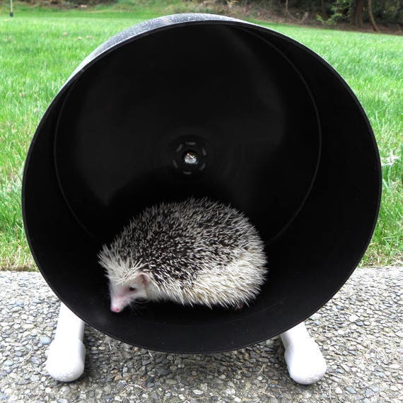 Bucket Wheel and Litter Tray Set Assorted Colors