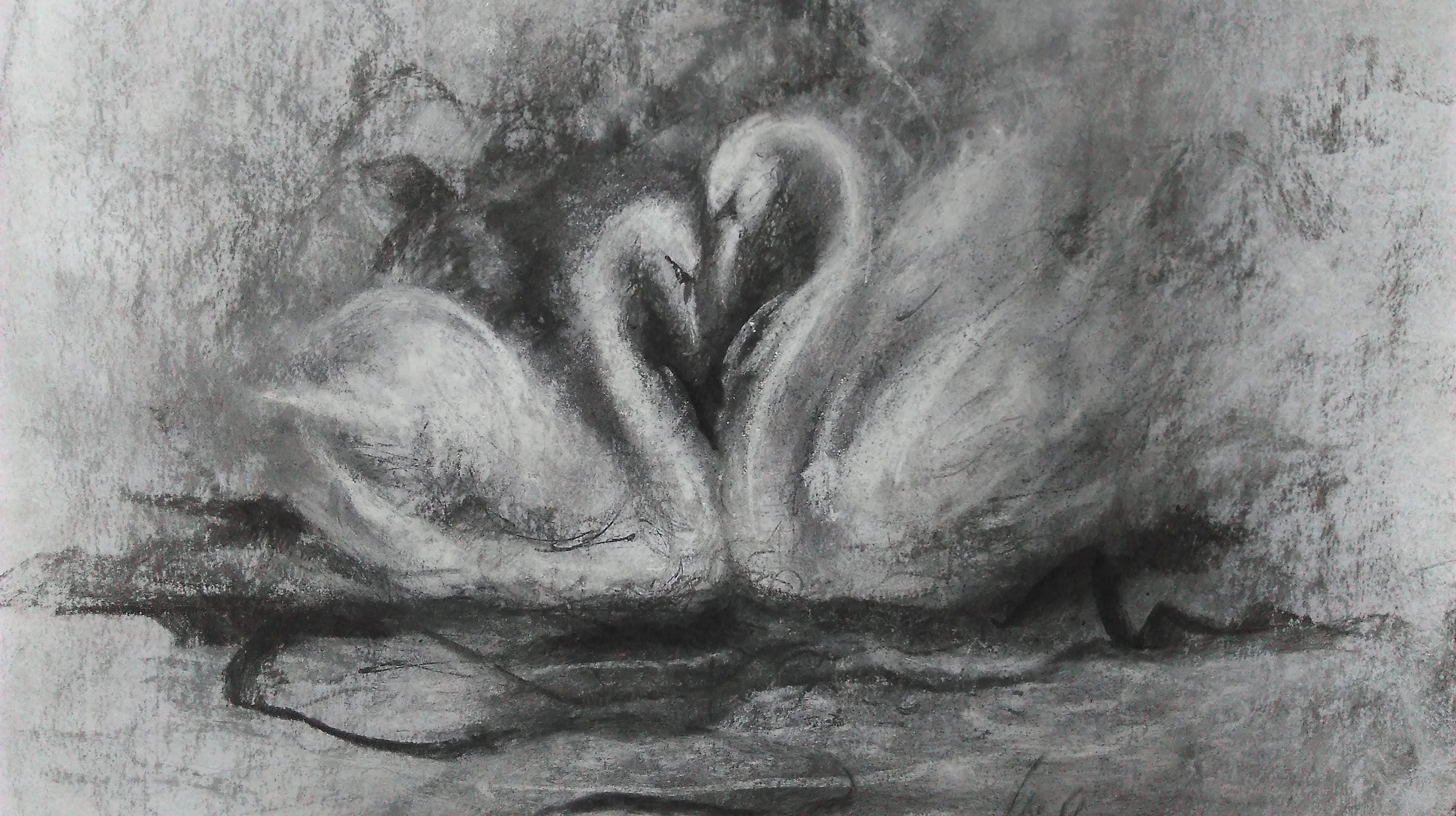 Original Charcoal drawing Chalk art Heart shape Love Swans