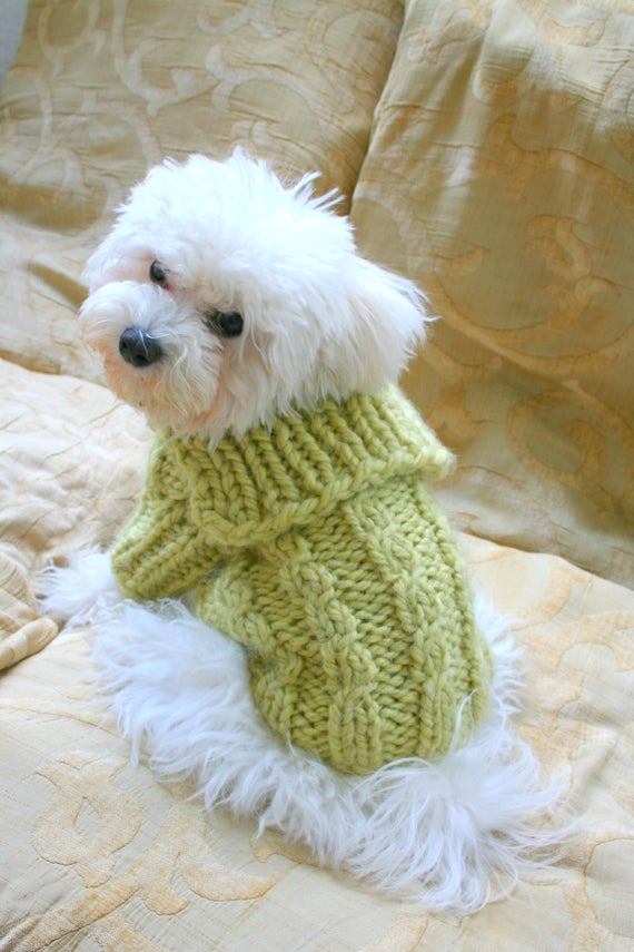 Winter Dog Sweater. Handmade Dog Clothes. Pet Clothing. Hand