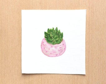 Succulent Art, Tiny Paintings, Miniature Paintings, Dorm Wall Art, Mini Succulents, Small Art, Small Paintings, Plant Art, Dorm Decor