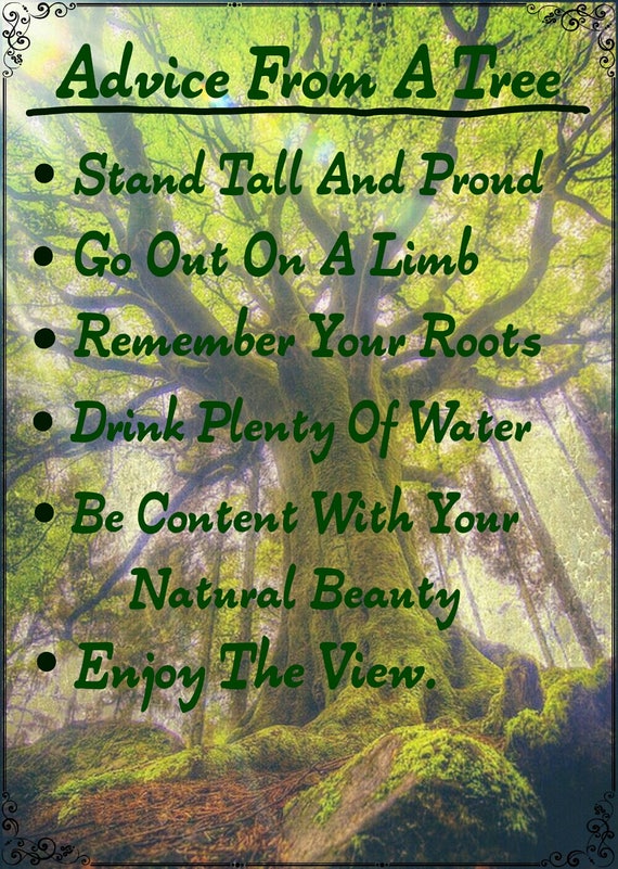 Advice From A Tree Digital Art Print Decor Nature Tree