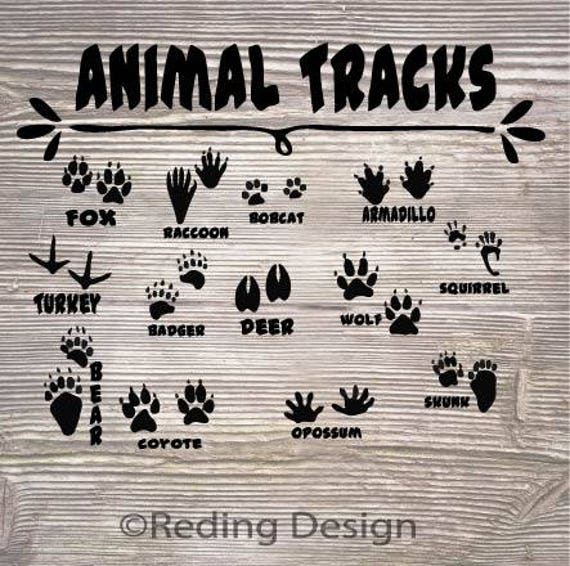 Download Animal Tracks SVG DXF PNG Digital Cut Files from RedingDesign on Etsy Studio