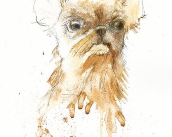 Chihuahua. Mi amor #4