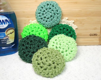 Sesame Street Fuck Green Nylon Net Scrubbies