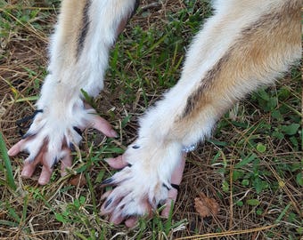 Timber wolf | Etsy