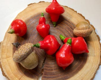 Brazilian Hot Pepper (RARE) - 'Piãozinho' - 15 seeds (heirloom)