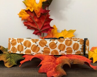 dog collar, thanksgiving dog collar, autumn dog collar, fall dog collar, pumpkin dog collar, holiday dog collar, brown dog collar, orange
