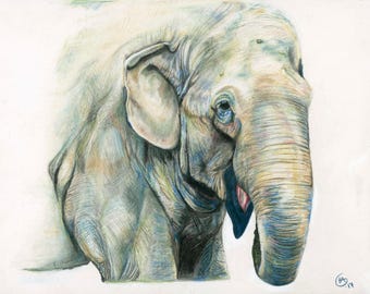 Happy Lucky Elephant Fine Art Print
