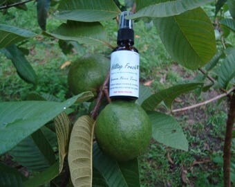 Hair loss treatment - 2 oz- ORGANIC guava leaves extract - No Side Effects - Natural vitamins and minerals stop hair loss & re-grows hair!