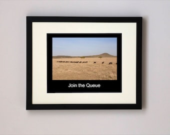 Join the Queue, Wildebeest Framed Photograph Print, Wall Art, Fine Art