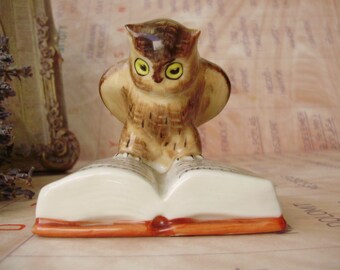 Vintage HUNGARIAN Drasche porcelain bird figurine,Owl w.book,handpainted,stamped
