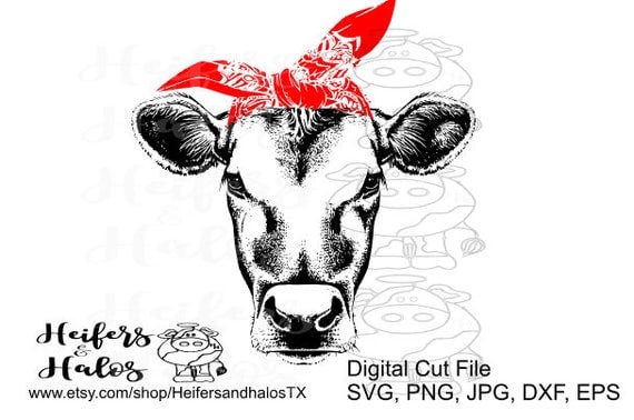 Bandana Heifer Cow Svg Pdf Png Eps Dxf Studio Cut File