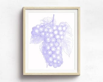 Grape Art Print, Fruit Print, Kitchen Decor, Wine Art, Grape Decor, Nature Print, Botanical Print