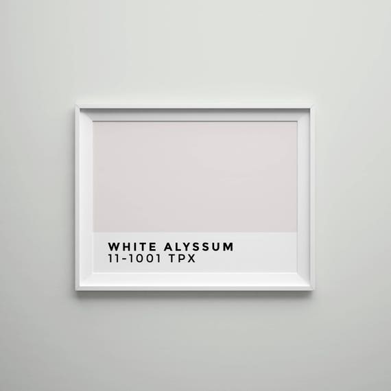 WHITE ALYSSUM Pantone Printable Wall Art Decor