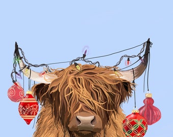highland cows christmas
