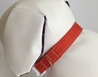 Paprika dog Collar - 29cm