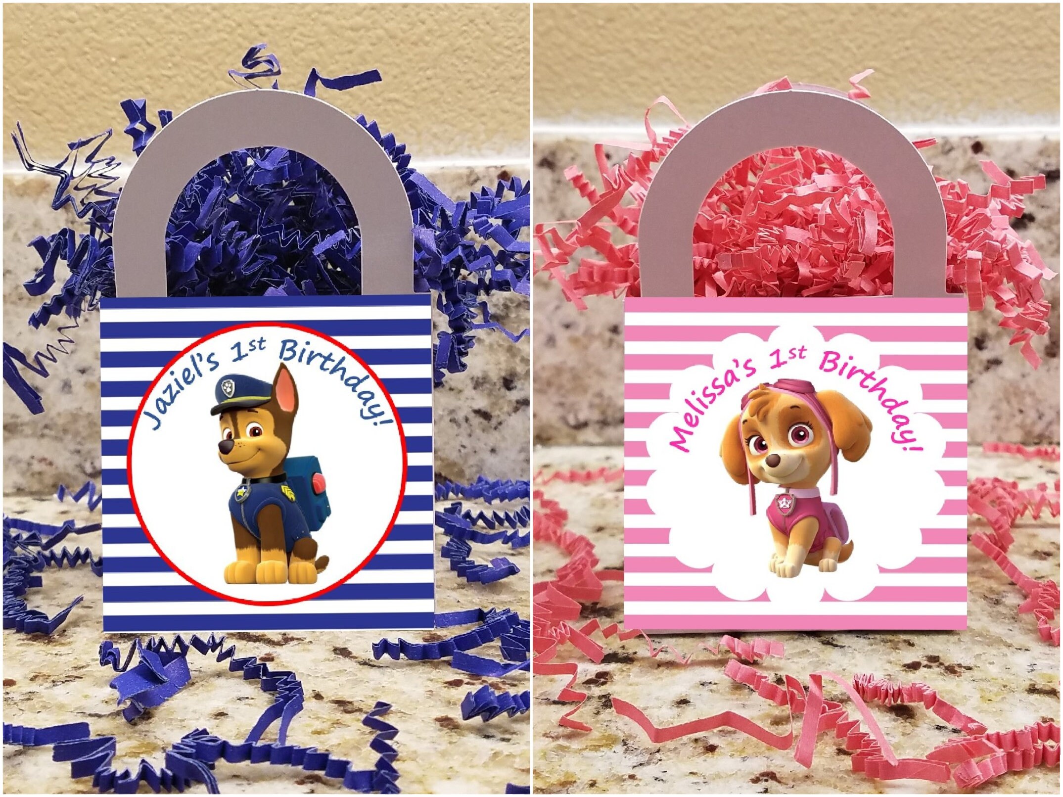 Paw Patrol Treat Boxes Paw Patrol Popcorn Boxes Paw Patrol