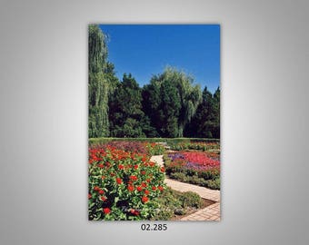 02.285 Limited Edition, Signed and Numbered 8x12 Image