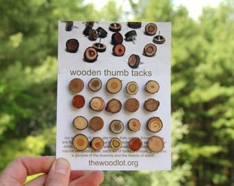 20 wood thumb tacks - natural wood pushpins for your home or office