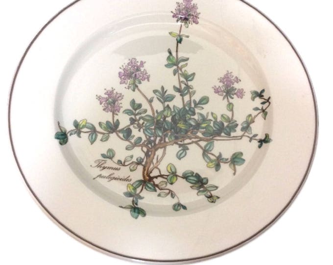 Villeroy & Boch Botanica Salad Plate Thymus, Vintage Villeroy and Boch Porcelain Botanica Side Dish, No root