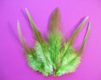 Apple green feathers. dyed rooster feathers. 3-4.5inches. 8-12cm. hat making, sewing, hair accessories. set of 10