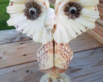 Seashell Art Owl Statue, Owl Decor, Owl Collectible, Owl Art, Owl, Owl Sea Shell, Owl Decoration, Sea Shell Owl