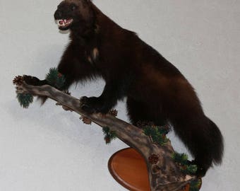 stuffed wolverine for sale