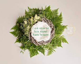 2 Newborn Digital Backdrop, newborn digital background, fern wreath, photographie bébé, telón de fondo, Neugeborene, bambino fotografia