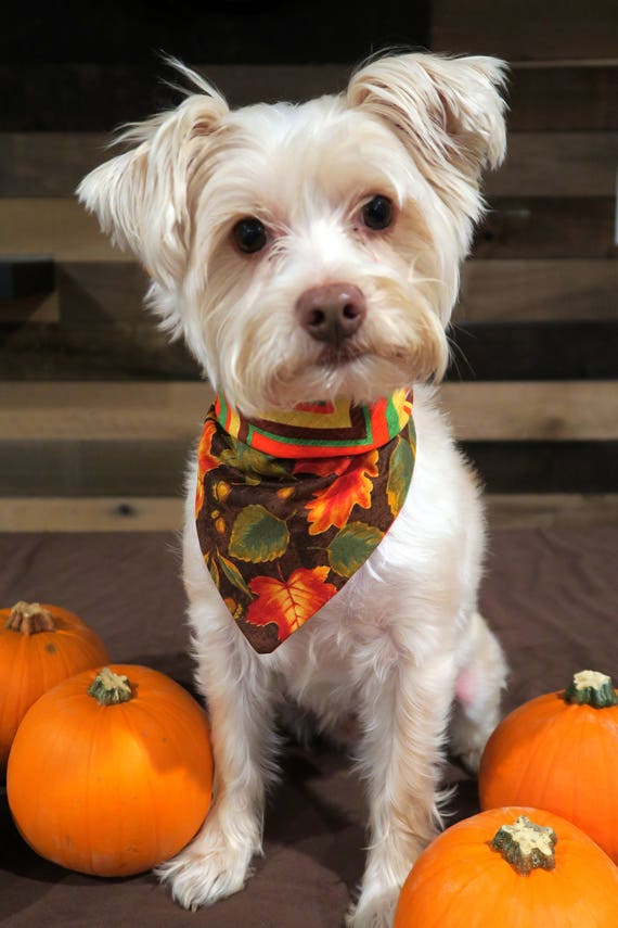 Reversible Tie-on Fall Dog Bandana