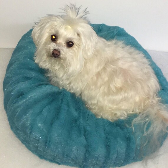 Small Dog Bed Teal Teacup dog bed Small dog bed cat bed