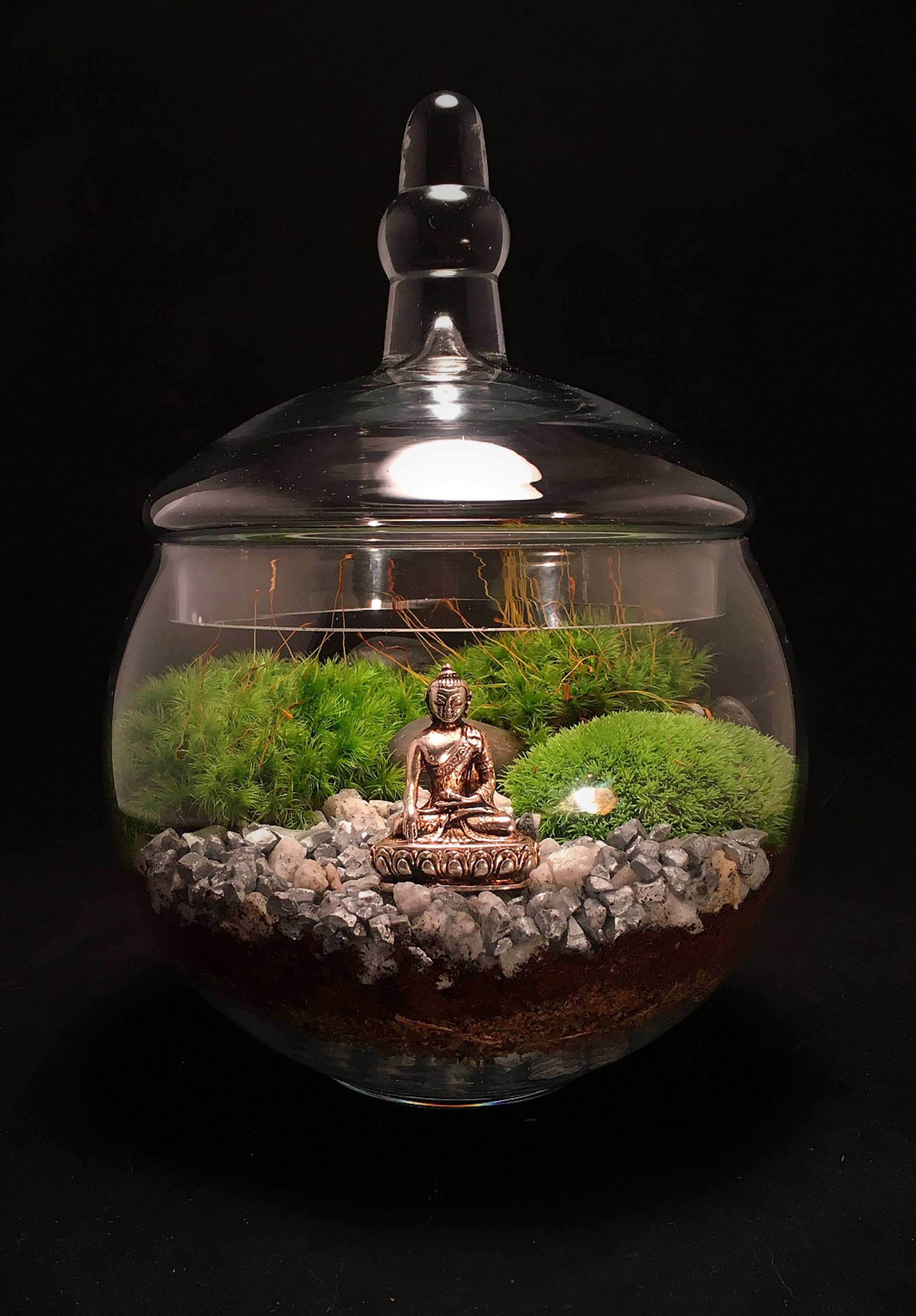 Terrarium // Moss Terrarium // Zen Terrarium // Buddha