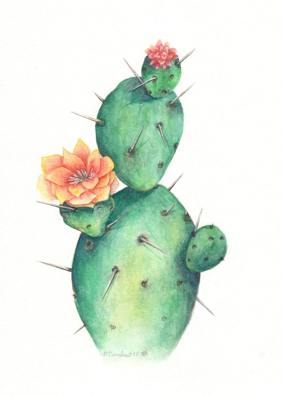 Single Cactus  Watercolor 