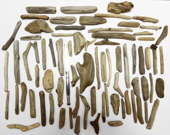 Driftwood pieces from Lake Erie - Small driftwood - Driftwood supply - Bulk driftwood - Driftwood decor - Craft driftwood