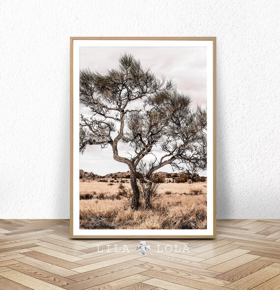 Australian Outback Landscape Wall Art Print Desert Tree