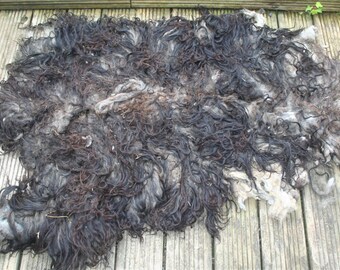 Spelsau raw fleece 1.7kg/3.75lb