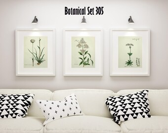 Set of 3 Botanical Prints, White Floral Prints, Cottage Chic Decor, Botanical Art, Country French Wall Art, Housewarming Gift, Farmhouse Art