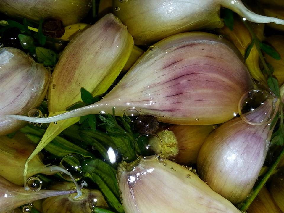 Garlic Bulbs Benefits of Eating Garlic Planting Garlic
