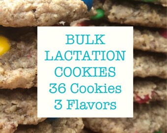 BULK LACTATION COOKIES, Breastfeeding Cookie, Healthy Lactation Cookies, Moms Make Milk, Increase Breast Milk, Lactation Treat, No Fenugreek