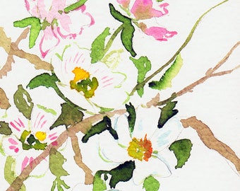 Card * reserved C *, original watercolor, miniature, dogwood flowers