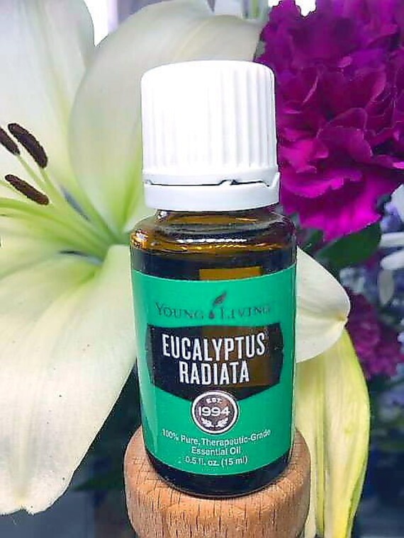 SUMMER SALE Eucalyptus Radiata Essential Oil by Young Living