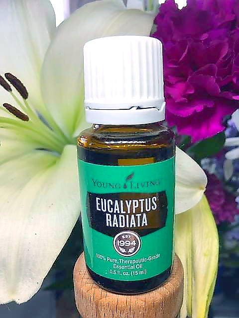 Summer Sale Eucalyptus Radiata Essential Oil By Young Living 8323