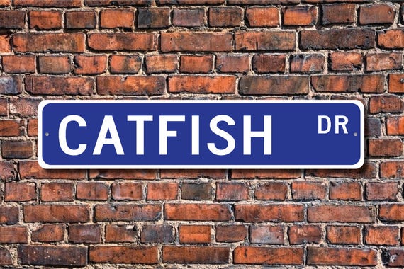 Catfish Catfish Gift Catfish Sign Catfish Decor Catfish