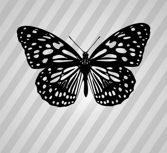 Download Butterfly 17 Svg Dxf Eps Silhouette Rld RDWorks Pdf Png AI
