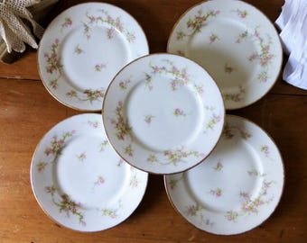 5 assiettes à dessert en porcelaine par Théodore Haviland, Limoges / vaisselle antique, 1910's / Fleurs et dorure