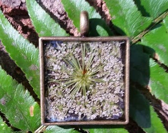 Real Queen Anne's lace pendant